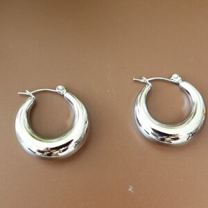 Elegant Silver Hoop Earrings